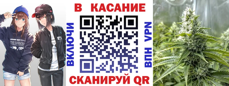 Конопля Сланцы