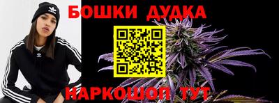 стаф Пенза