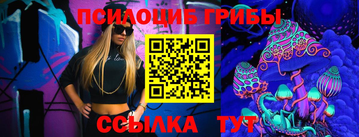 Псилоцибиновые грибы Psilocybine cubensis Сланцы