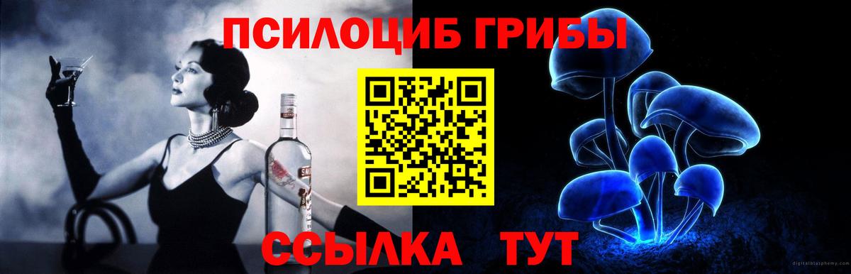 Галлюциногенные грибы Psilocybine cubensis  Вход с VPN  Сланцы 